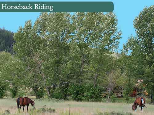 Horseback Riding
