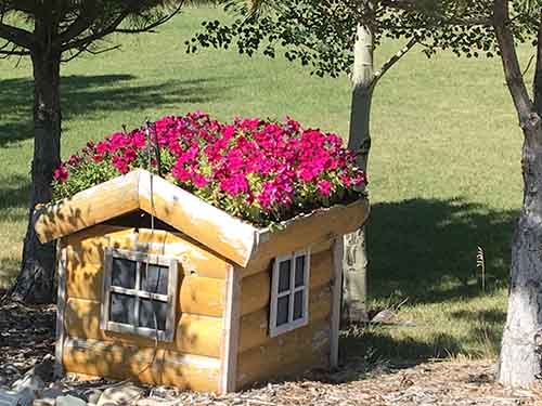 Close up flower house