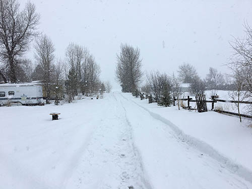 snowy road